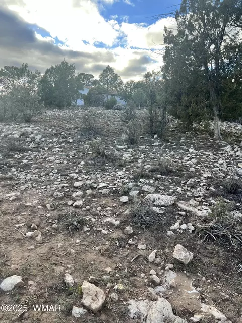 2820 Pine Hill Dr, Overgaard, AZ 85933