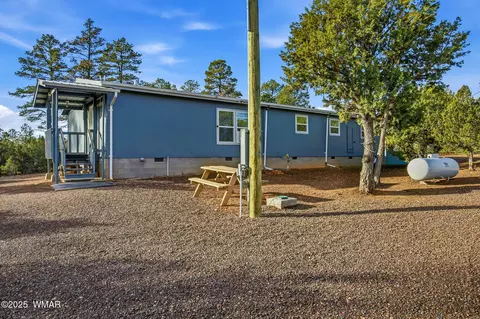 3051 Hwy 277, Overgaard, AZ 85933 photo 29