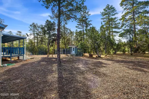 3051 Hwy 277, Overgaard, AZ 85933 photo 5