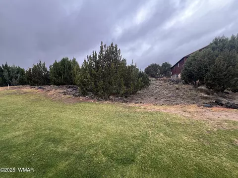1917 Passage Dr, Show Low, AZ 85901