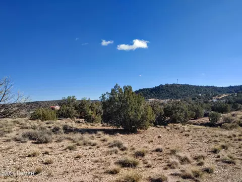 2 West Shumway Road, Taylor, AZ 85939