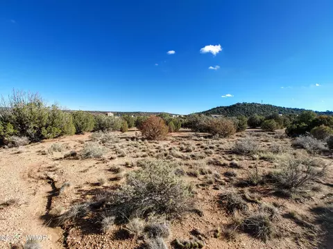 3 West Shumway Road, Taylor, AZ 85939