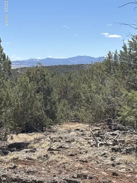 45 N8601 # B, Concho, AZ 85924