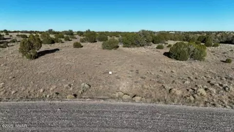 tbd Cr 8637 Lot #210, Concho, AZ 85924 photo 8