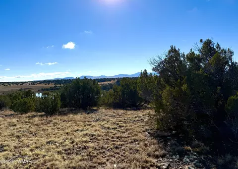 tbd Cr 8637 Lot #210, Concho, AZ 85924 photo 6