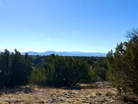tbd Cr 8637 Lot #210, Concho, AZ 85924 photo 5
