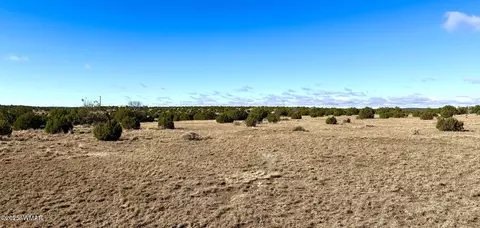 tbd Cr 8637 Lot #210, Concho, AZ 85924 photo 2
