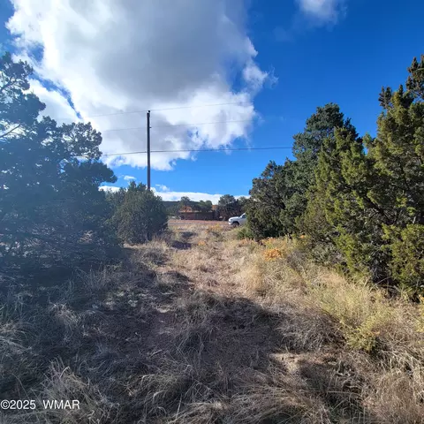 tbd Spanish Trl, Eagar, AZ 85925 photo 6