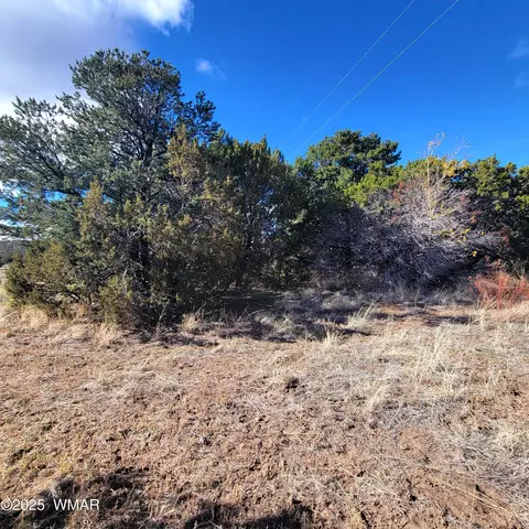 tbd Spanish Trl, Eagar, AZ 85925 photo 4