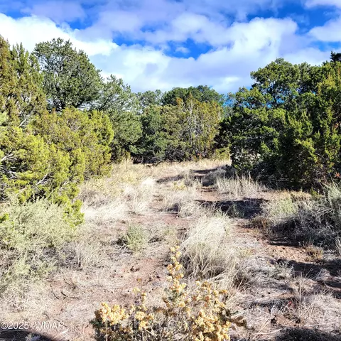 tbd Spanish Trl, Eagar, AZ 85925