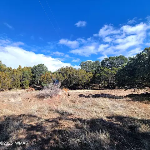 tbd Spanish Trl, Eagar, AZ 85925 photo 5