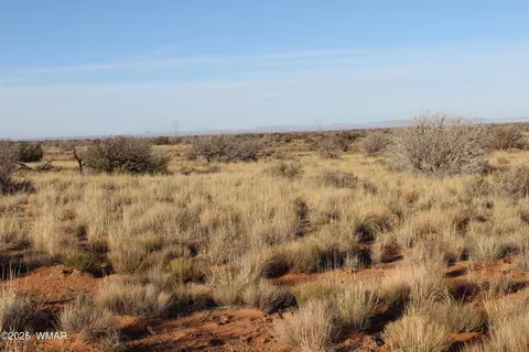 lot224 Ccr #2, Heber, AZ 85928