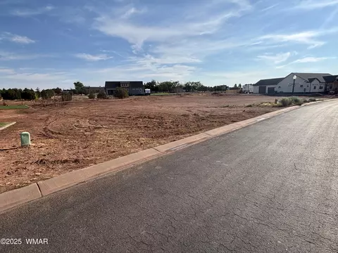 2294 W Temple Vw Rd, Snowflake, AZ 85937