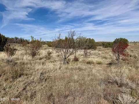 3920 S Freeman Hollow Rd, Snowflake, AZ 85937