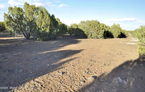 11 Lodge Pole Rd # D, Show Low, AZ 85901