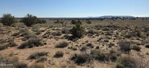 5085 Concho Ocho Rd, Snowflake, AZ 85937