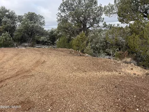 1847 Rocky Bottom Pl, Show Low, AZ 85901