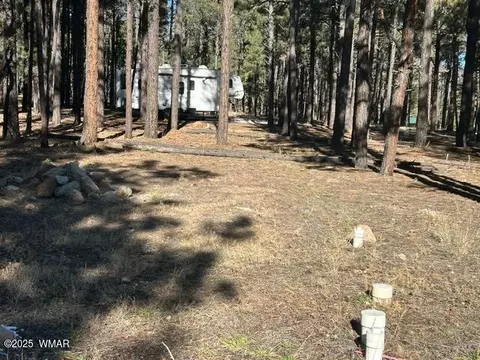 tbd Cr N2121, Alpine, AZ 85920
