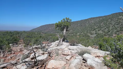 9591 Privette Trl, Snowflake, AZ 85937