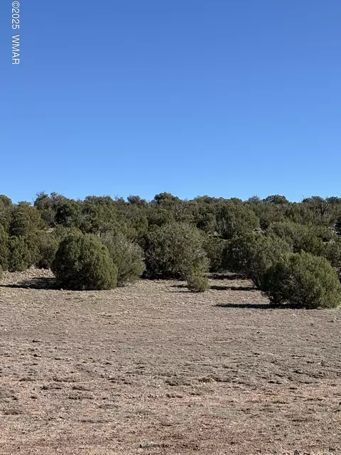 tbd N8716, Concho, AZ 85924