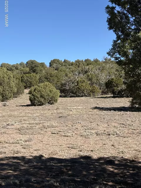 Sw N8716, Concho, AZ 85924