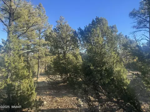 2060 E Bluff Ridge Rd, Show Low, AZ 85901