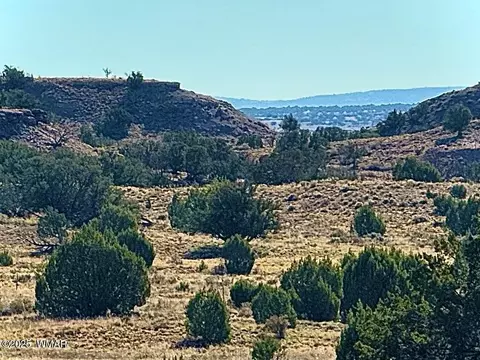 228 County Rd N9328, Concho, AZ 85924