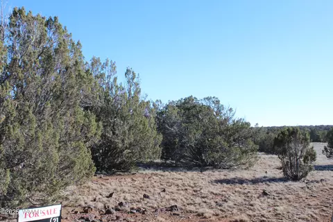 lot163 B Kb Ranch Rd, Show Low, AZ 85901