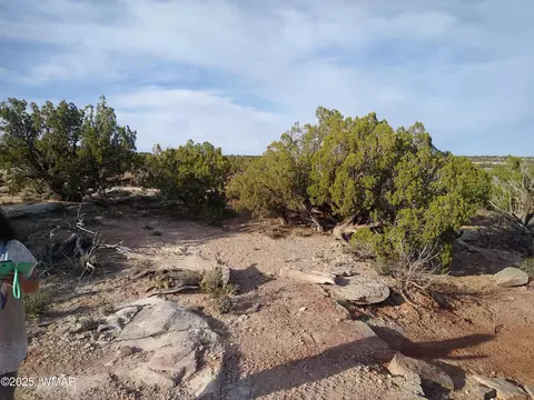 8938 Buffalo Ridge Ln, White Mountain Lake, AZ 85912