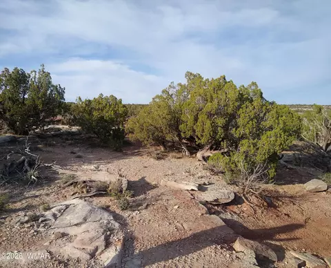 8938 Buffalo Ridge Ln, White Mountain Lake, AZ 85912