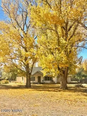590 W 2nd St, Saint Johns, AZ 85936