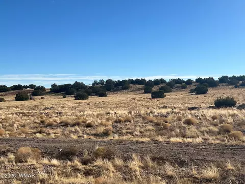 000 Cr5139, Concho, AZ 85924