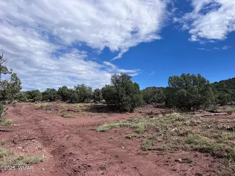 2837 Rebel Yell Rd, Show Low, AZ 85901