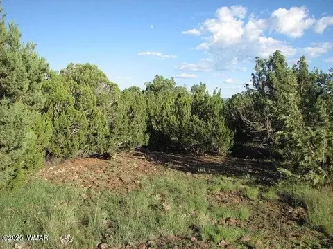 Sec 29 T14n, Heber, AZ 85928