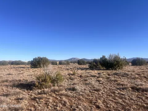 14 N3111 #A, Vernon, AZ 85940