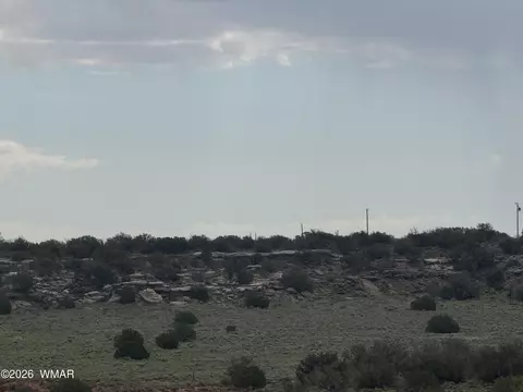 tbd Stirrup Rd, Snowflake, AZ 85937 photo 4