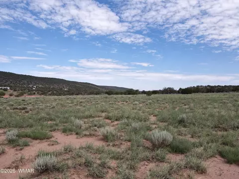 tbd Stirrup Rd, Snowflake, AZ 85937 photo 3