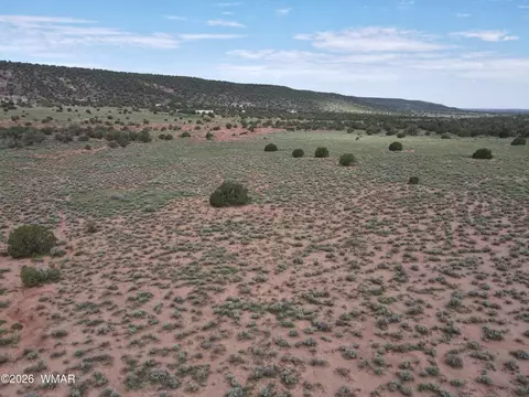tbd Stirrup Rd, Snowflake, AZ 85937 photo 7
