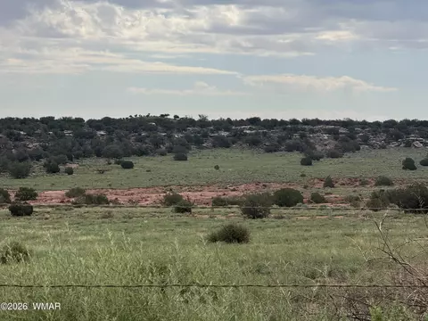 tbd Stirrup Rd, Snowflake, AZ 85937 photo 5