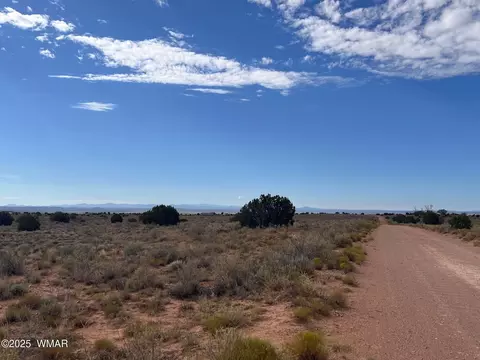 000 Ranch View Dr, Snowflake, AZ 85937 photo 2