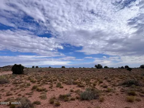 000 Ranch View Dr, Snowflake, AZ 85937 photo 3