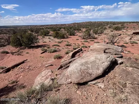 51 N9087, Concho, AZ 85924 photo 6