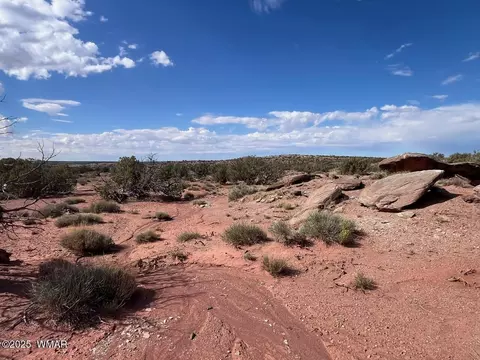 51 N9087, Concho, AZ 85924 photo 8