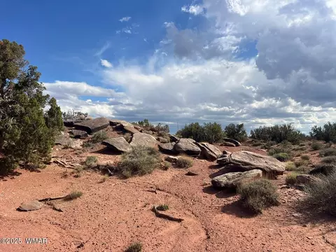 51 N9087, Concho, AZ 85924 photo 14