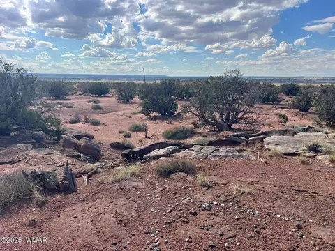 51 N9087, Concho, AZ 85924 photo 3