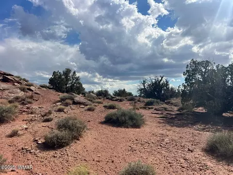 51 N9087, Concho, AZ 85924 photo 12