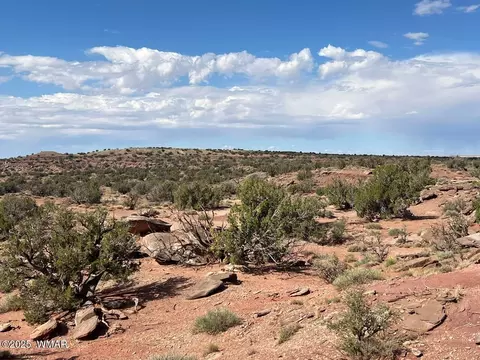 51 N9087, Concho, AZ 85924 photo 4