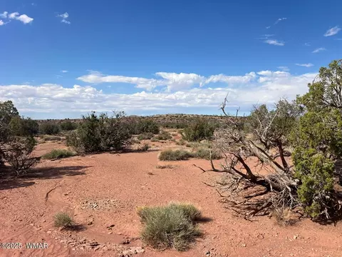 51 N9087, Concho, AZ 85924 photo 11
