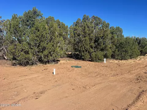 96 Cr3041, Concho, AZ 85924