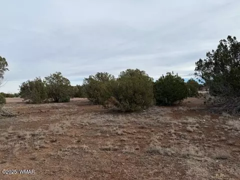 1834 Bourdon St, Show Low, AZ 85901